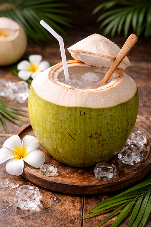 มะพร้าวลูก